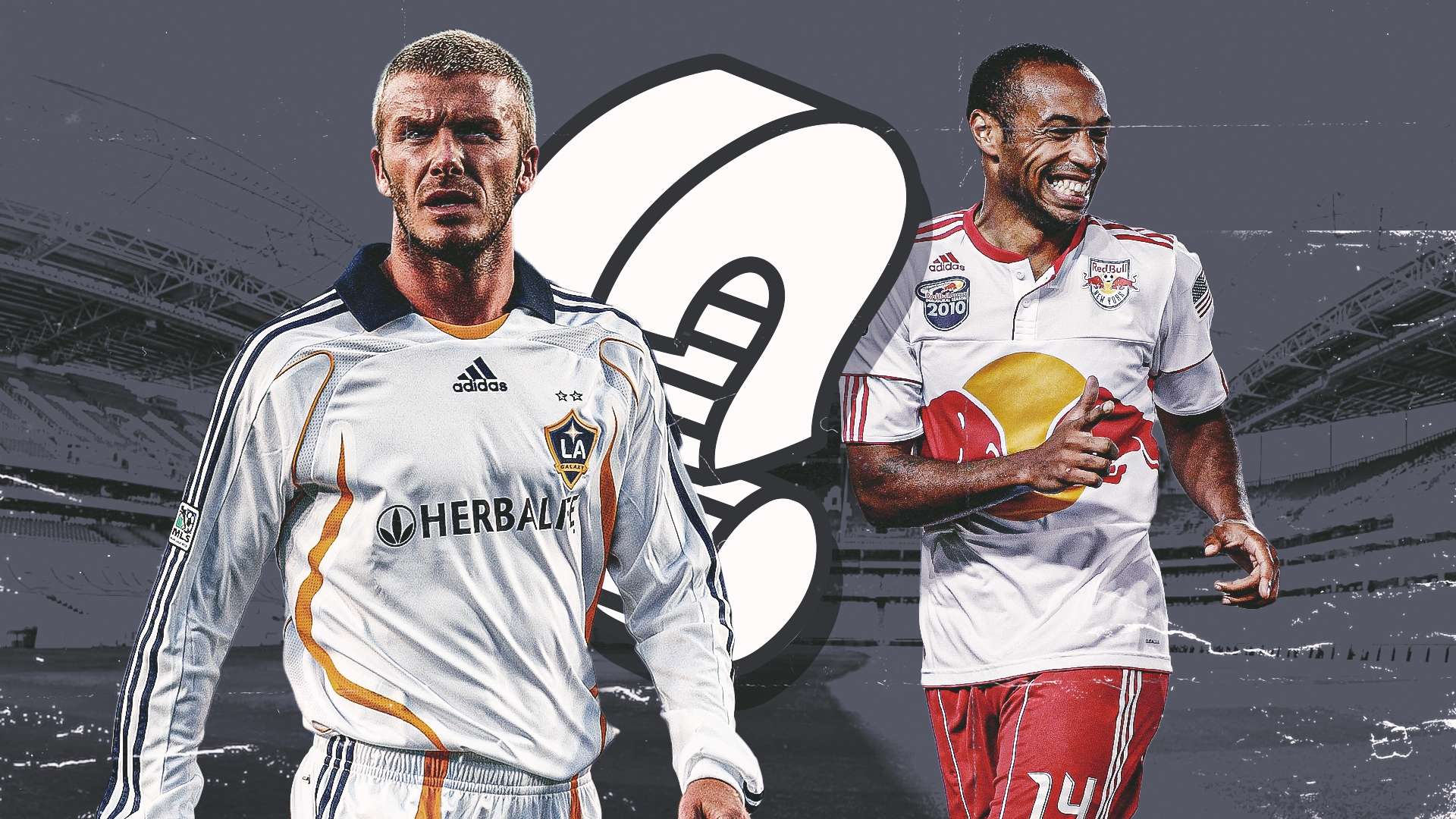 入了新的生 入了新的生