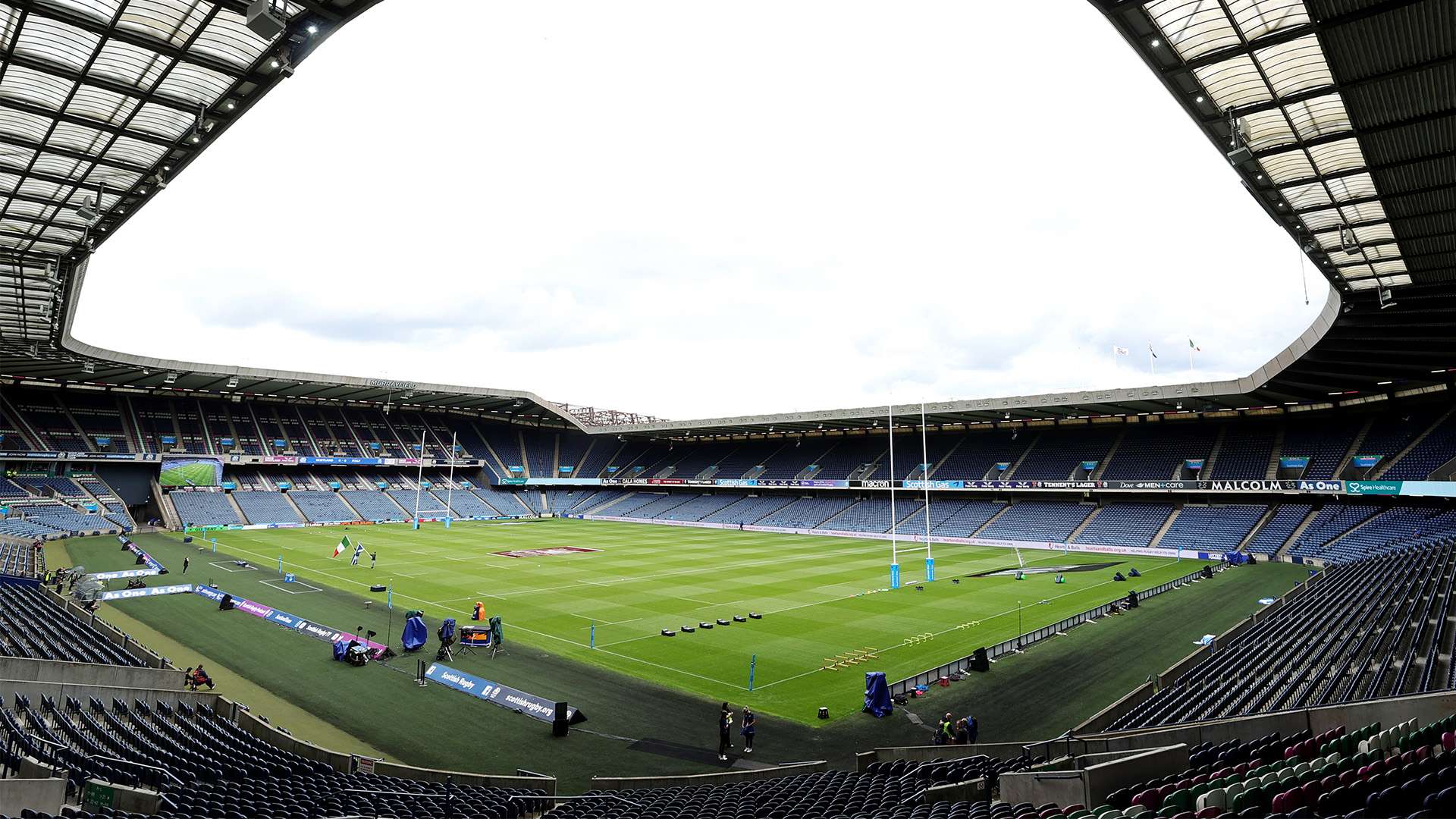 职业生涯的 职业生涯的