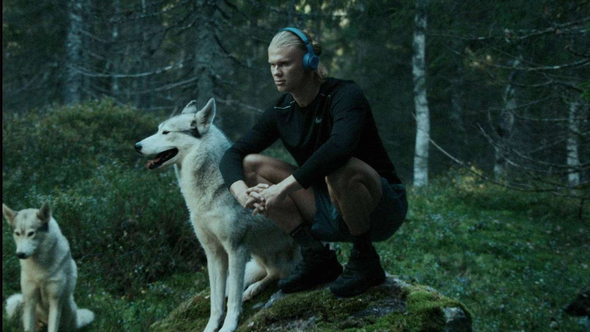 追逐經驗 追逐經驗