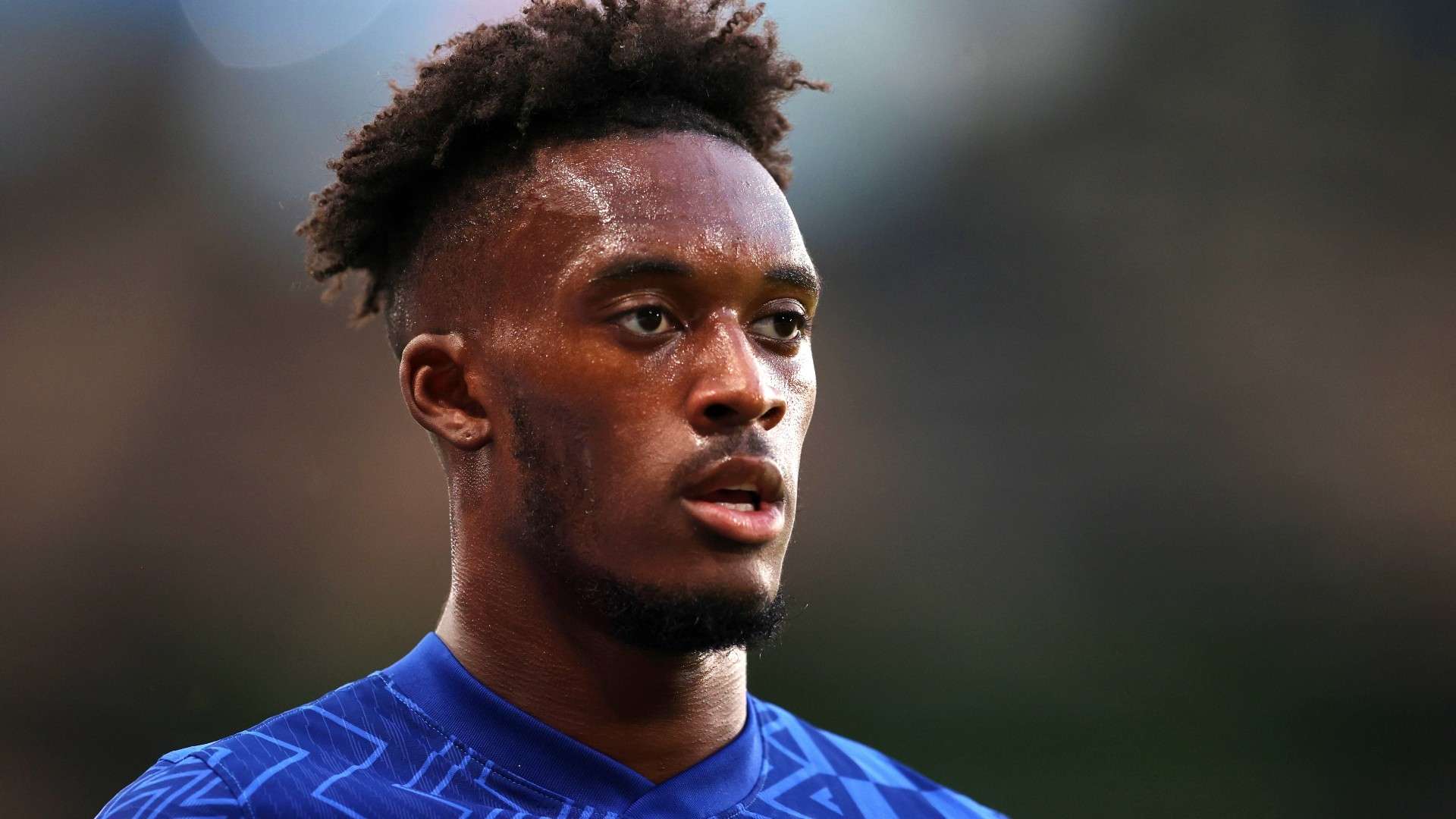 拉斐尔不仅 拉斐尔不仅